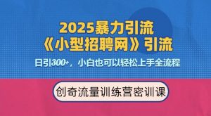 2025最新暴力引流方法,招聘平台一天引流300+,日变现多张,专业人士力荐-水滴知识网