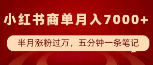 小红书商单最新玩法,半个月涨粉过万,五分钟一条笔记,月入7000+-水滴知识网