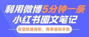 小红书利用微博5分钟一条图文笔记,实现快速涨粉,商单接到手软-水滴知识网