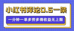 小红书留言评论,0.5元1条,一分钟一单,多劳多得,收益无上限-水滴知识网