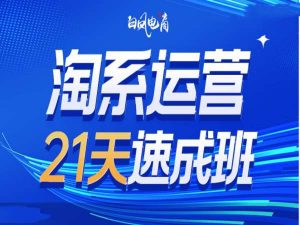 淘系运营21天速成班35期，年前最后一波和2025方向-水滴知识网