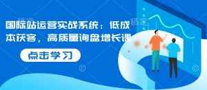 国际站运营实战系统:低成本获客,高质量询盘增长课-水滴知识网