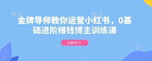 金牌导师教你运营小红书，0基础进阶赚钱博主训练课-水滴知识网