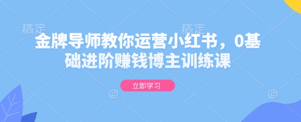 金牌导师教你运营小红书，0基础进阶赚钱博主训练课-水滴知识网