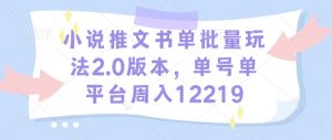 小说推文书单批量玩法2.0版本,单号单平台周入12219-水滴知识网