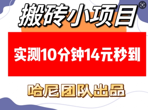 搬砖小项目,实测10分钟14元秒到,每天稳定几张(赠送必看稳定)-水滴知识网