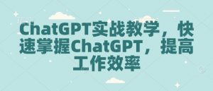 ChatGPT实战教学,快速掌握ChatGPT,提高工作效率-水滴知识网