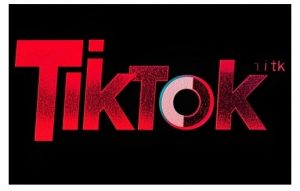 TikTok ads投流秘籍，涵盖tiktok整体投放思路，教你搭建测试计划-水滴知识网