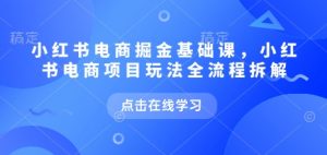 小红书电商掘金课，小红书电商项目玩法全流程拆解-水滴知识网