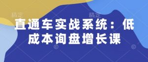 直通车实战系统:低成本询盘增长课,让个人通过技能实现升职加薪,让企业低成本获客,订单源源不断-水滴知识网