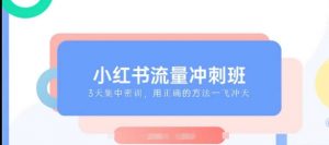 小红书流量冲刺班2025，最懂小红书的女人，快速教你2025年入局小红书-水滴知识网