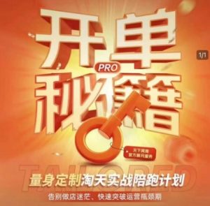淘宝开单秘籍PRO,量身定制淘天实战陪跑计划,告别做店迷茫、快速突破运营瓶颈期-水滴知识网