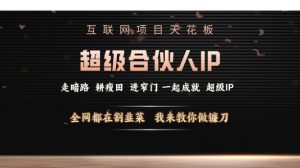互联网项目天花板，超级合伙人IP，全网都在割韭菜，我来教你做镰刀【仅揭秘】-水滴知识网