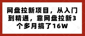 网盘拉新项目,从入门到精通,靠网盘拉新3个多月搞了16W-水滴知识网