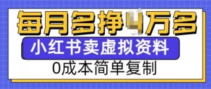 小红书虚拟资料项目,0成本简单复制,每个月多挣1W【揭秘】-水滴知识网