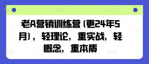 老A营销训练营(更25年1月),轻理论,重实战,轻概念,重本质-水滴知识网