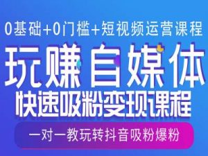 0基础+0门槛+短视频运营课程，玩赚自媒体快速吸粉变现课程，一对一教玩转抖音吸粉爆粉-水滴知识网