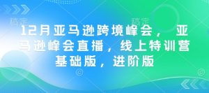 12月亚马逊跨境峰会， 亚马逊峰会直播，线上特训营基础版，进阶版-水滴知识网