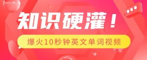 知识硬灌，1分钟教会你，利用AI制作爆火10秒钟记一个英文单词视频-水滴知识网
