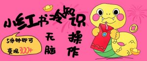 小红书冷知识账号,无脑复制粘贴,5分钟即可变现3张-水滴知识网