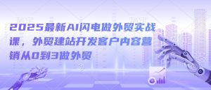 2025最新AI闪电做外贸实战课,外贸建站开发客户内容营销从0到3做外贸-水滴知识网