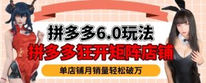 拼多多虚拟商品暴利6.0玩法,轻松实现月入过W-水滴知识网
