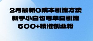 2月最新0成本引流方法,新手小白也可单日引流500+精准创业粉-水滴知识网