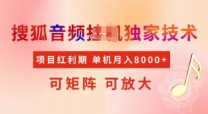 全网首发搜狐音频挂JI独家技术,项目红利期,可矩阵可放大,稳定月入8k【揭秘】-水滴知识网