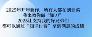 2025年开年新作，所有人都在割韭菜，我来教你做“镰刀” 2025让支持我的好兄弟们都可以通过“知识付费”拿到满意的成绩【揭秘】-水滴知识网