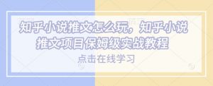 知乎小说推文怎么玩，知乎小说推文项目保姆级实战教程-水滴知识网