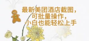 【轻云】最新美团酒店截图,可批量操作,小白也能轻松上手-水滴知识网