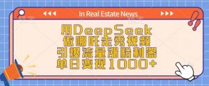 用DeepSeek做哪吒走秀视频,引爆流量涨粉利器,单日变现1k-水滴知识网