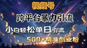 跨平台暴力引流,私域完美闭环,日引500+精准创业粉-水滴知识网