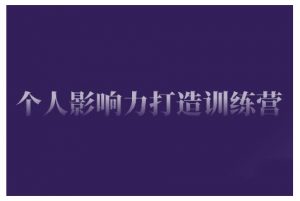 个人影响力打造训练营，掌握公域引流、私域运营、产品定位等核心技能，实现从0到1的个人IP蜕变-水滴知识网