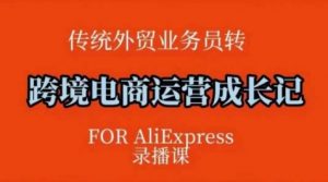 跨境电商速卖通运营课，​运营方法论+后台实操，逻辑清晰-水滴知识网