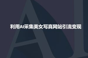 利用AI采集美女写真网站引流变现,引流嘎嘎的-水滴知识网