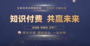 别人苦寻无果,为何他们靠知识付费卖项目 2025 年轻松年入100个?【揭秘】-水滴知识网