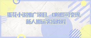 蛋花小说推文项目，0粉即可变现，新人搬运实操教程-水滴知识网