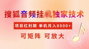 首发搜狐音频挂JI，项目红利期，可矩阵可放大，稳定月入5k【揭秘】-水滴知识网