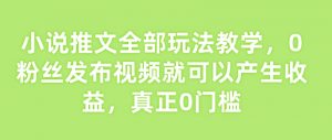 小说推文全部玩法教学,0粉丝发布视频就可以产生收益,真正0门槛-水滴知识网