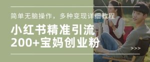 小红书混剪日引200+宝妈创业粉，简单无脑操作，多种变现详细教程-水滴知识网