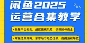 2025闲鱼电商运营全集，2025最新咸鱼玩法-水滴知识网