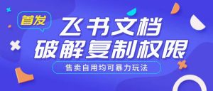 首发飞书文档破解复制权限，售卖自用均可暴力玩法-水滴知识网