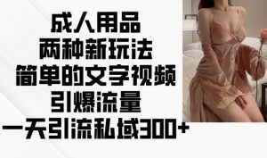成人用品两种新玩法，简单的文字视频引爆流量，一天引流私域300+-水滴知识网