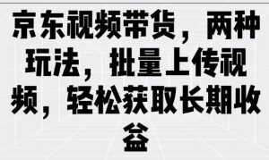 京东视频带货，两种玩法，批量上传视频，轻松获取长期收益-水滴知识网