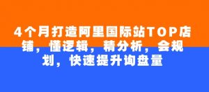 4个月打造阿里国际站TOP店铺,懂逻辑,精分析,会规划,快速提升询盘量-水滴知识网