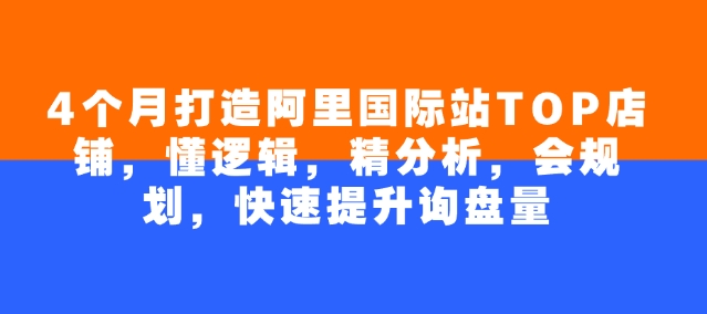 4个月打造阿里国际站TOP店铺,懂逻辑,精分析,会规划,快速提升询盘量-水滴知识网