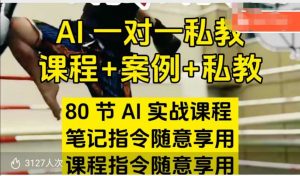 AI指令实战课，课程+案例，80节AI实战课程，笔记指令随意享用，课程指令随意享用-水滴知识网