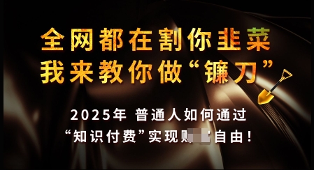 知识付费如何做到月入过W+，2025我来教你做“镰刀”【揭秘】-水滴知识网