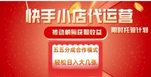快手小店代运营，被动躺Z收益，收益五五分，单日稳定变现五张【揭秘】-水滴知识网